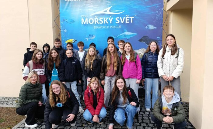 68062810-3076-41b4-b7cd-98c7fbc5ab04