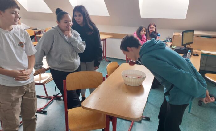 3119b654-c4c8-4c84-ae79-38e0f4d9087d 3119b654-c4c8-4c84-ae79-38e0f4d9087d