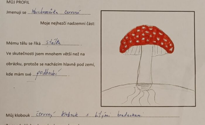 284eb852-d3ff-4393-bd4b-169daf376767