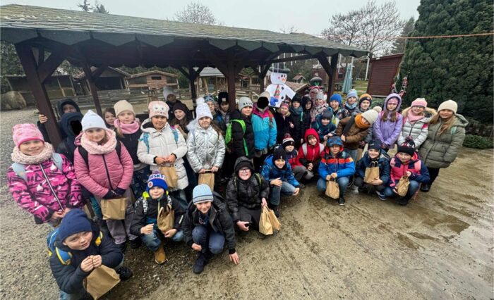 78711947-973a-4ca7-8d2b-ee5727f12a69 78711947-973a-4ca7-8d2b-ee5727f12a69