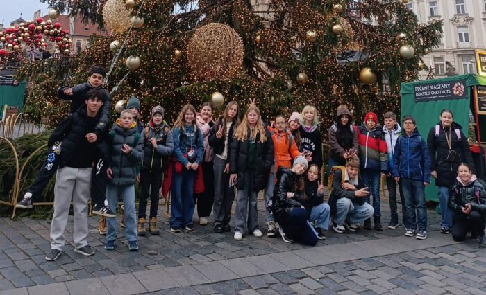 fd0107f5-1ec3-4d8c-9735-3409bb976bee