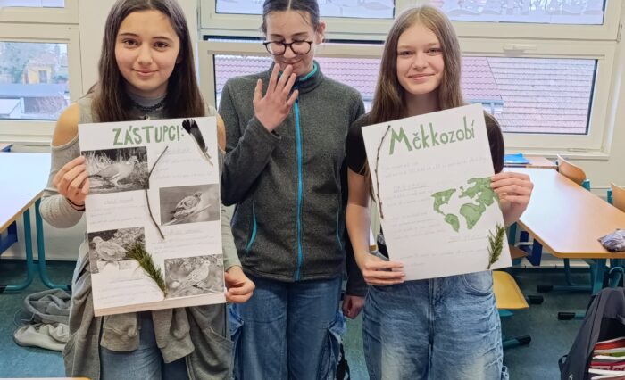 5fd19414-ecac-45e9-aa28-511fddad0282