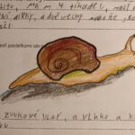 2bc12b14-cd32-4f2d-b78f-48b892e4660f