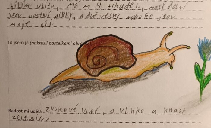 2bc12b14-cd32-4f2d-b78f-48b892e4660f 2bc12b14-cd32-4f2d-b78f-48b892e4660f