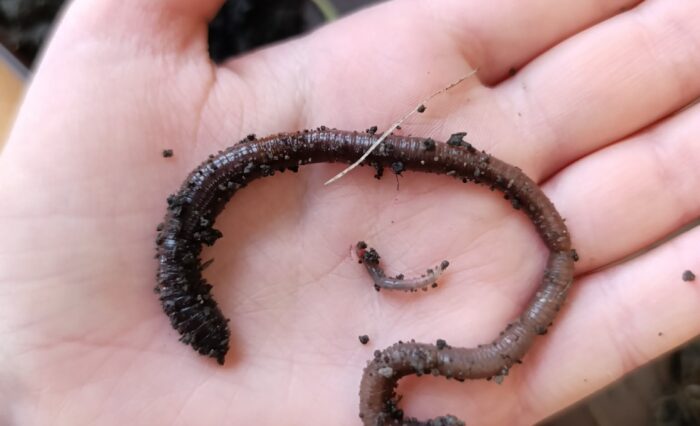 8d4127cd-b4c4-470a-8733-96f3e5a9cc00