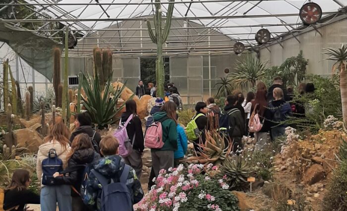 WhatsApp Image 2026-04-21 at 09.00.48