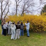 abfc2f29-f214-46c3-97b2-f974a5721472