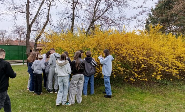 abfc2f29-f214-46c3-97b2-f974a5721472 abfc2f29-f214-46c3-97b2-f974a5721472