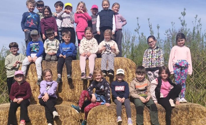 e6e1b7a0-6ca1-4922-a06b-6c36dbc6456a